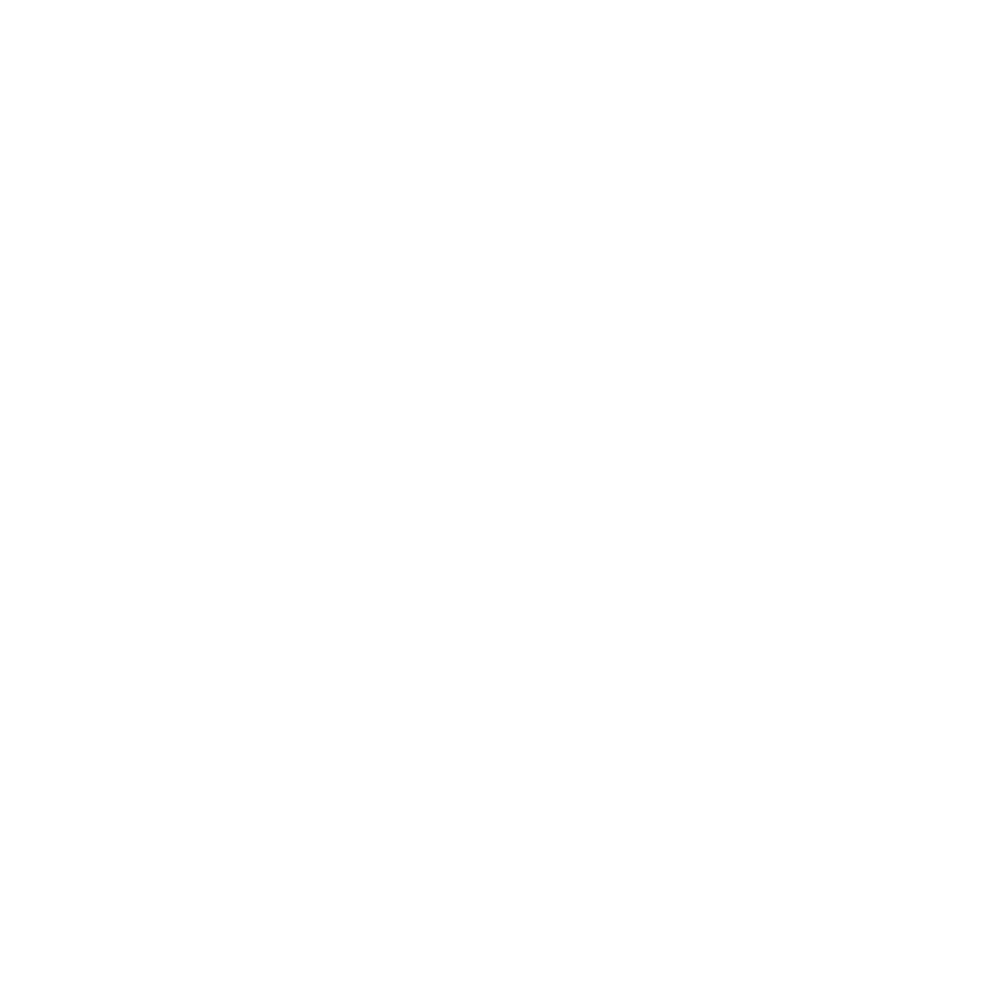 EVER AUTOMATION Logo